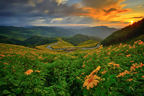 istock Beautiful road and mountain 530235423