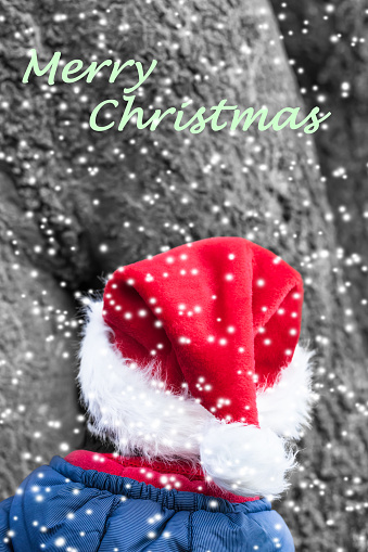 Imp. invierno Navidad con sombrero rojo de punta y texto de Navidad deseo photo