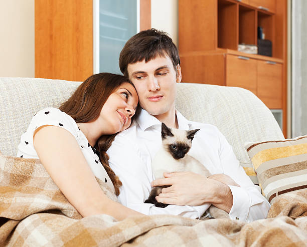 istock Man and woman with kitten 530238237