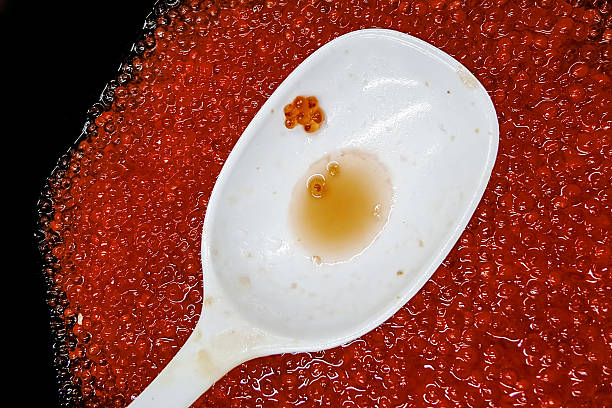 caviar de mandchourie placé dans un bol - saltwater fish freshwater fish pond sturgeon photos et images de collection