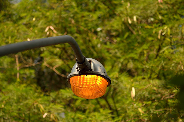 istock Brazilian street lighting 530240251