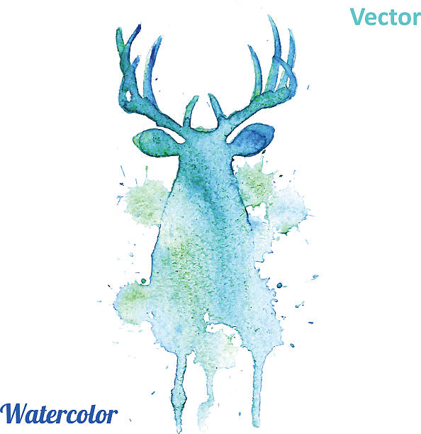 bildbanksillustrationer, clip art samt tecknat material och ikoner med watercolor deer head vector on the white background. - reindeer mist