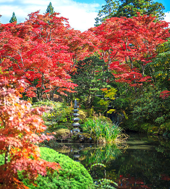 istock Autumn maple leaves background 530247069