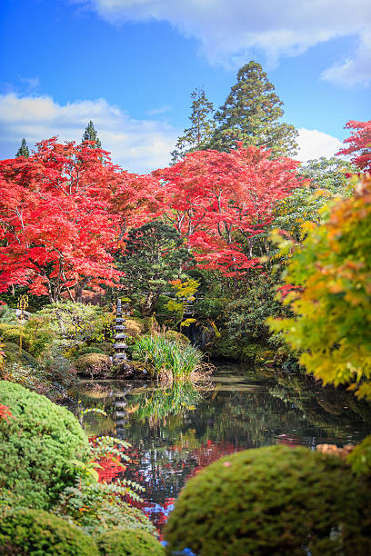 istock Autumn maple leaves background 530247071