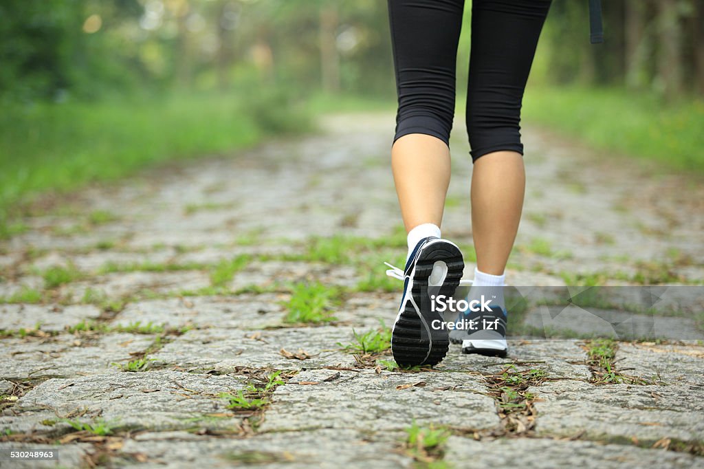 hiker legs hiking on stone trail fitness woman hiker legs hiking on stone trail Rear View Stock Photo