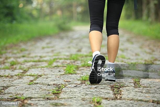 Hiker Legs Hiking On Stone Trail Stock Photo - Download Image Now - Rear View, Running, Active Lifestyle