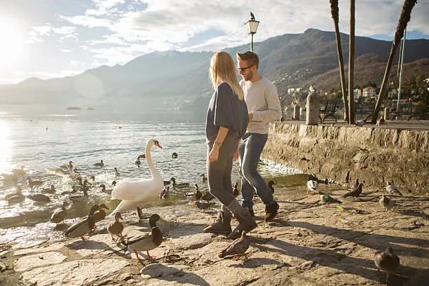 Young people by the lake feeding the ducks and swans,Ascona/Switzerland