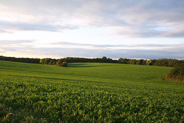 istock Nobody Outside Plain Rural Scene Background 530252463