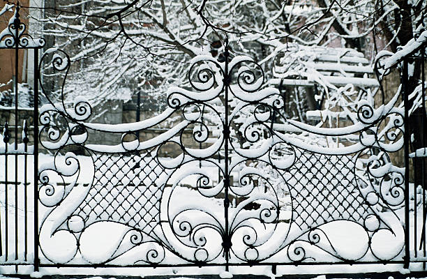 istock The metal fence 530253327