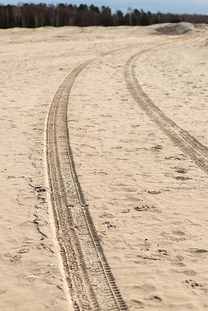 istock car tyre tracks on the beach sand 530257529