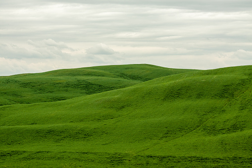 Panorama verdi colline Toscane (Italia) photo