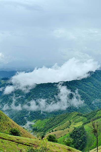 istock fog and cloud mountain valley landscape 530261273