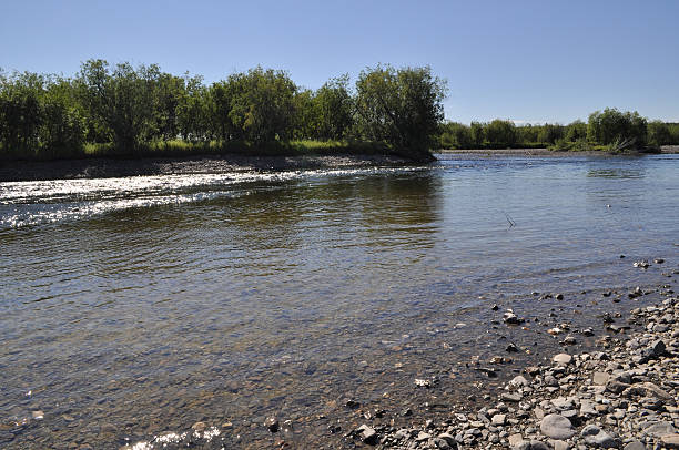 istock Pebbly shore North of the Ural river. 530261343