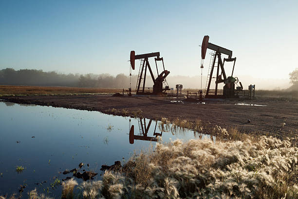 Oil Pumps in the Prairies Manitoba Canada Working oil pumps in the prairies, this image taken on the border of Manitoba and Saskatchewan, close to the town of Virden, Manitoba. Image taken from a tripod. wellhead stock pictures, royalty-free photos & images