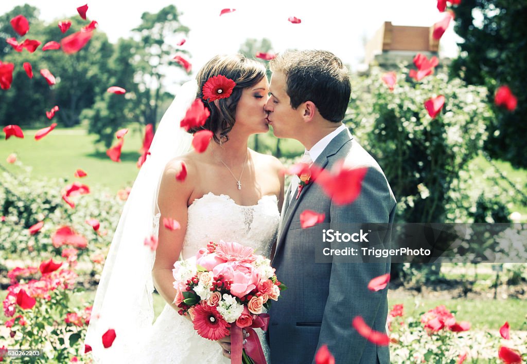 Hermosa novia y el novio beso de boda vestido de flores de margarita Gerber - Foto de stock de Boda libre de derechos