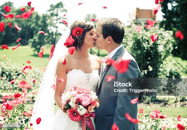 Amazing Bride And Groom Kissing Wedding Dress Gerber Daisy Flowers Stock Photo - Download Image Now