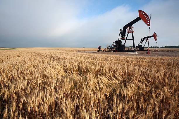 Oil Pump in the Prairies Manitoba Canada stock photo