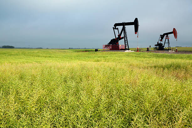 istock Oil Pump in the Prairies Manitoba Canada 530268703