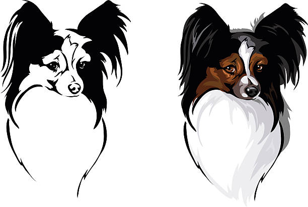 530+ Papillon Stock Illustrations, Royalty-Free Vector Graphics