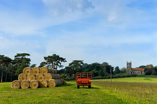 A sunlit field at West Newton, near Sandringham in West Norfolk, England, with a stack of straw bales and a trailer. In the distance is West Newton church.