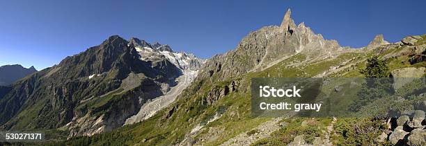Clocher Des Planereuses And Glacier Of Saleina Stock Photo - Download Image Now - Cliff, European Alps, Meadow