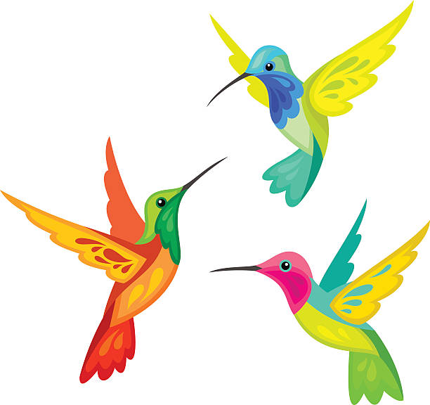 ilustraciones, imágenes clip art, dibujos animados e iconos de stock de estilizadas y aves - colibrí