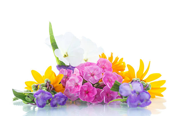 istock floral bouquet 530272701