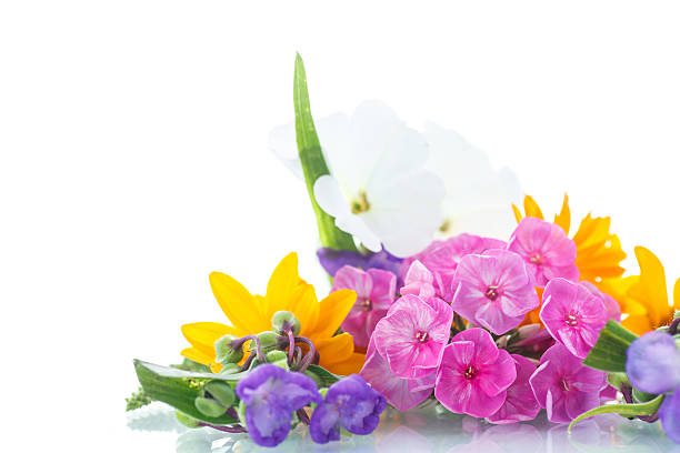 istock floral bouquet 530272703