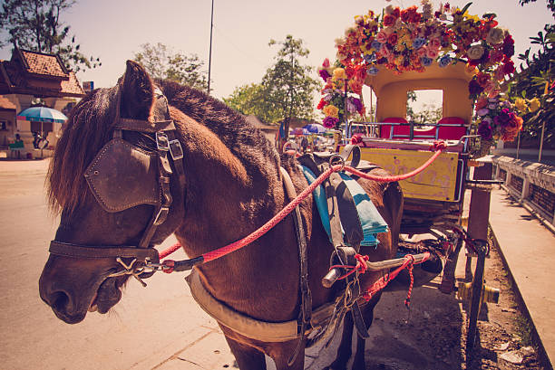 istock transportation by horse 530272743