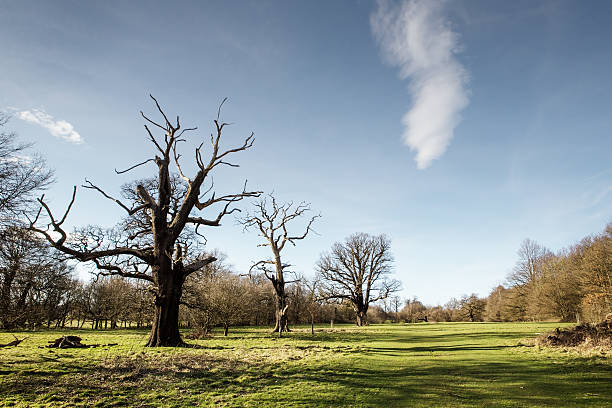 istock english countryside 530274379