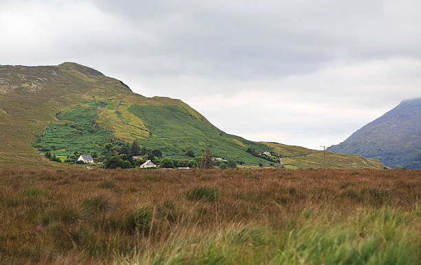istock National park Connemara. 530274759