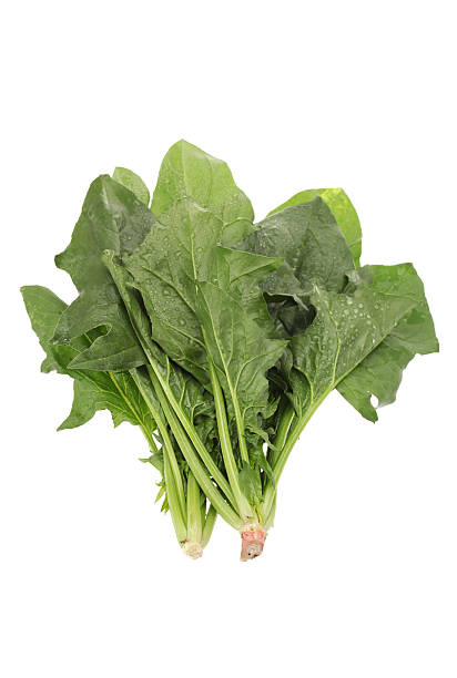 istock Bunch of fresh spinach 530274891