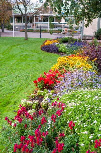 istock Autumn flowerbed in Varberg, Sweden 530283005