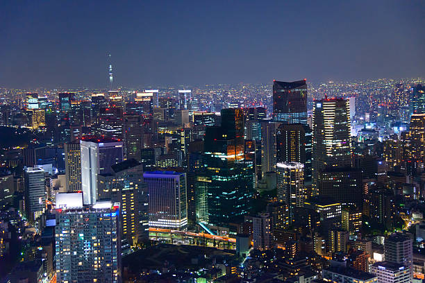 istock Tokyo in the twilight 530283945