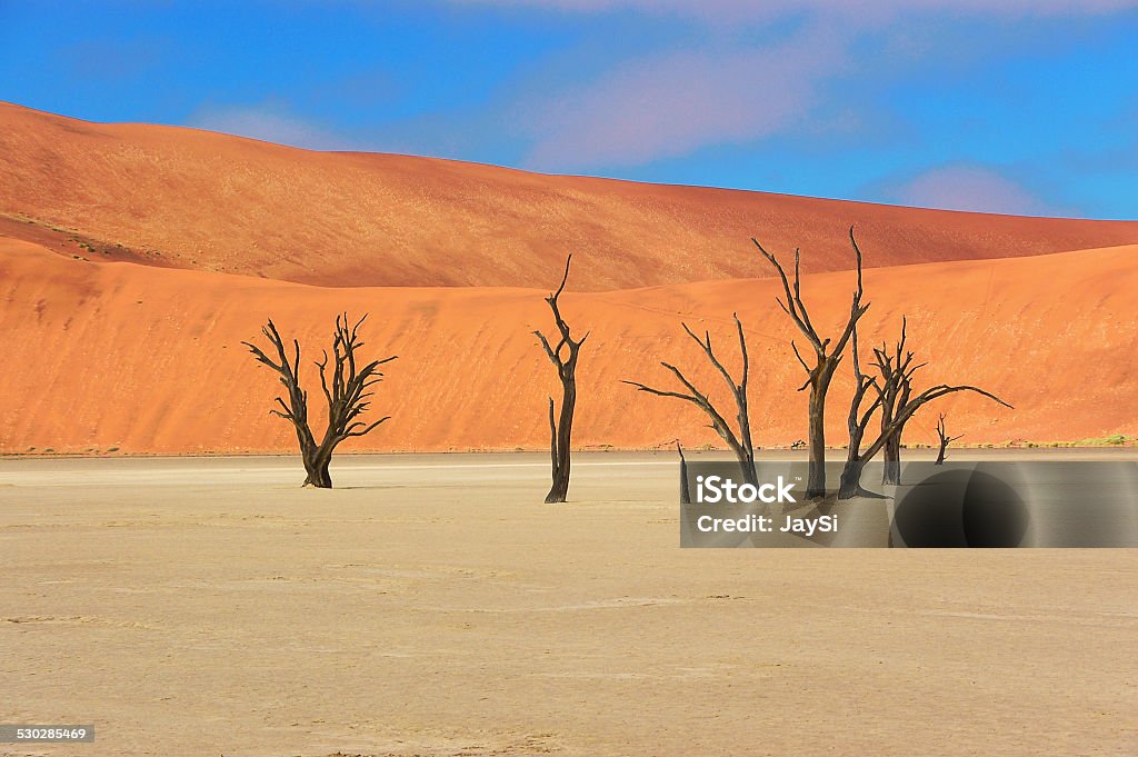 Trees and landscape of Dead Vlei desert, Namibia Trees and landscape of Dead Vlei desert, Namibia, South Africa Accidents and Disasters Stock Photo