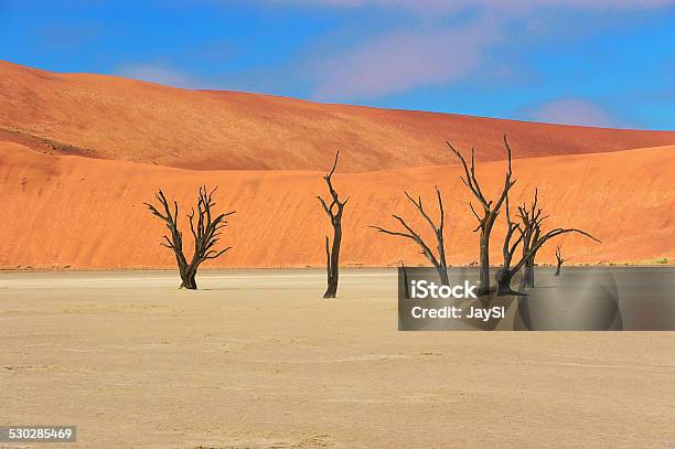 Trees And Landscape Of Dead Vlei Desert Namibia Stock Photo - Download Image Now - Accidents and Disasters, Africa, Arid Climate