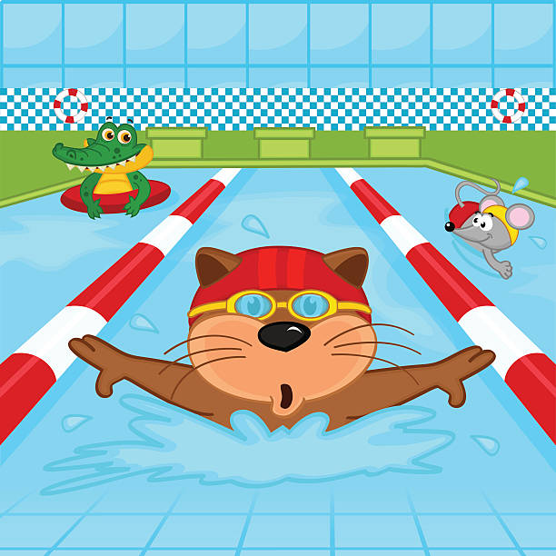 tiere im pool - breaststroke stock-grafiken, -clipart, -cartoons und -symbole