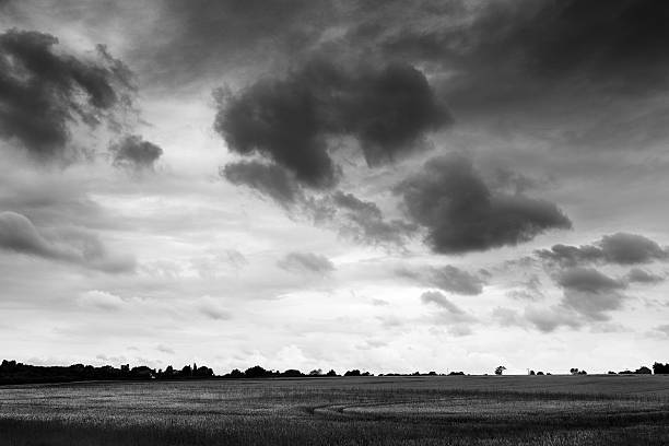 istock east mersea landscape 530288165