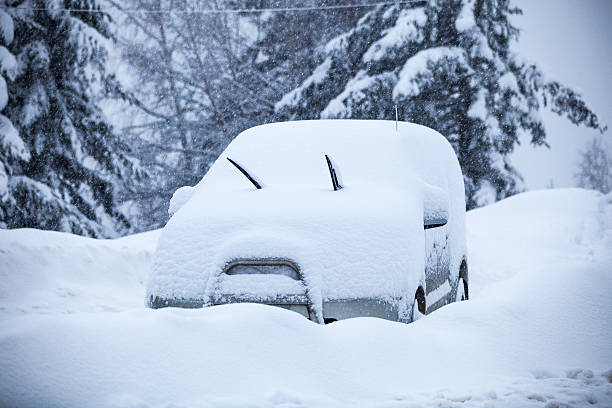 istock Car covered under snow in snowy landscape with pine trees 530298805