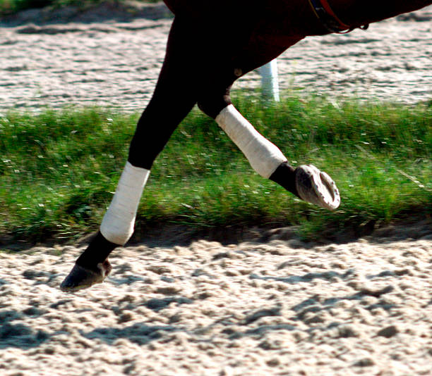 istock Selective focus on the horseshoes. 530299303