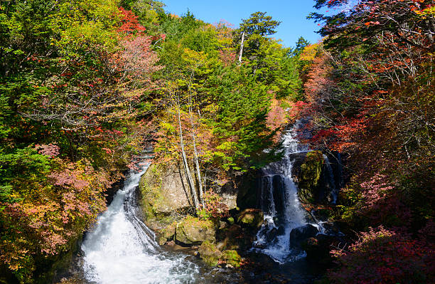 ryuzu cascata in autunno, nikko, giappone - water beauty in nature waterfall nikko foto e immagini stock