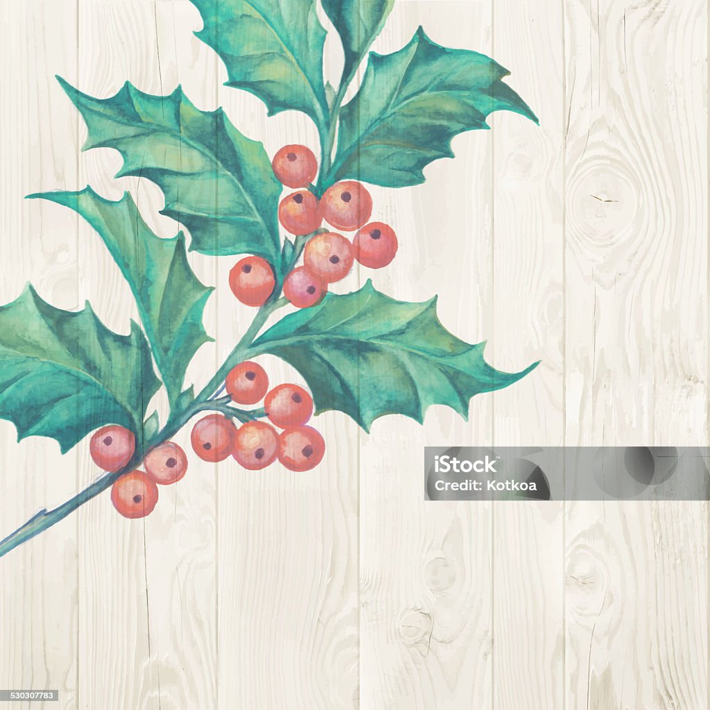 Christmas mistletoe. Christmas mistletoe branch isolated over wooden background. Vector illustration. 2015 stock illustration