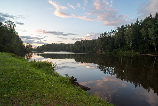 istock mountain river in summer surrounded by forest 530308437