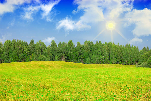 istock green grass field landscape with fantastic clouds 530309517