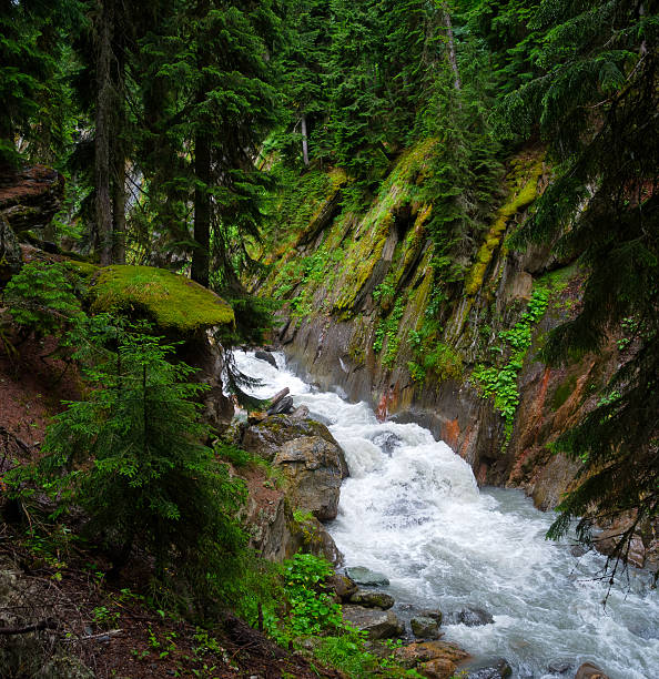 istock Mountain stream landscape in Svaneti 530309529
