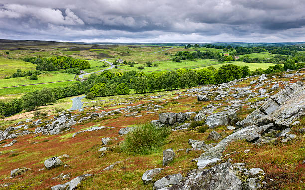 istock North York Moors in spring, Goathland, Yorkshire, UK. 530312527