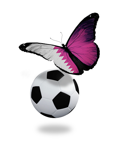 Concept - butterfly with Qatari flag flying near the ball, like football team playing