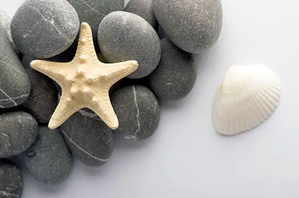 Natural spa elements- seashell with starshell and stones on white