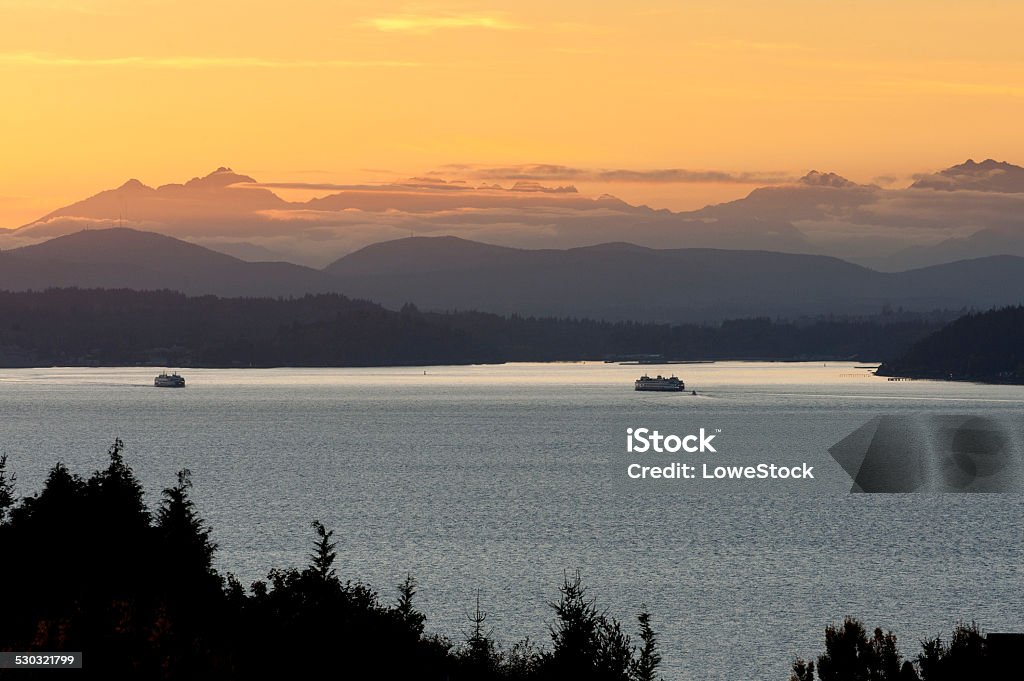 Seattle Ferries at Sunset Two Seatlle ferry boats pass each other on the Seattle to Bremerton, Washington route with the Olympic Mountains in the background. Seattle Stock Photo