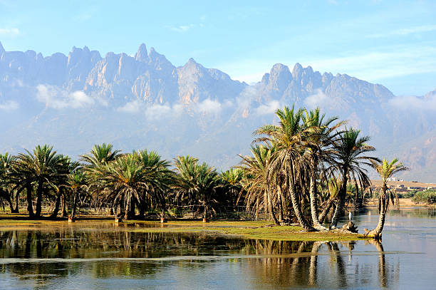 Yemen. Socotra island stock photo